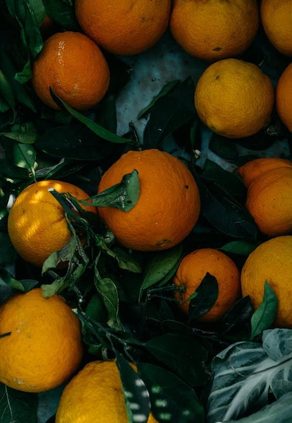 orange with seeds